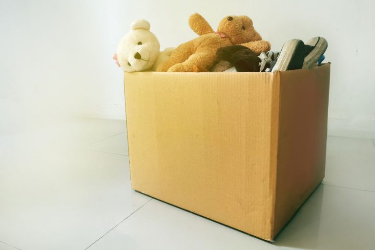 the stuffed animal store