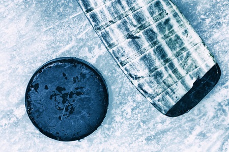 Hockey and Teddy Bears are the Perfect Pair