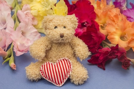 What the Color of Your Teddy Bear Means 