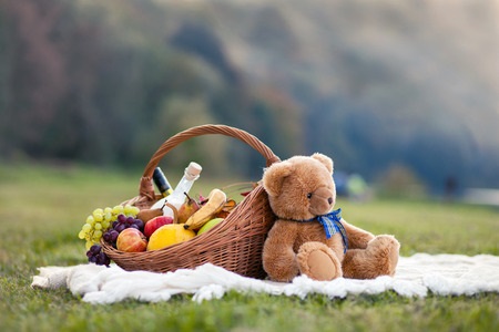 Teddy Bear on a Picnic