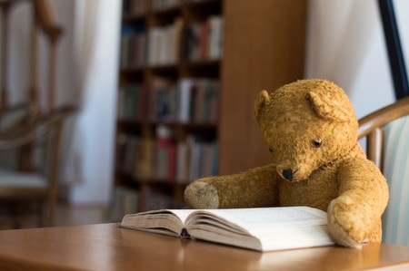 Teddy Bear Reading