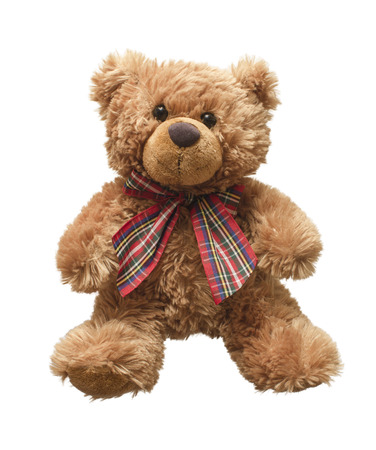 How Did the Teddy Bear Get Its Name?