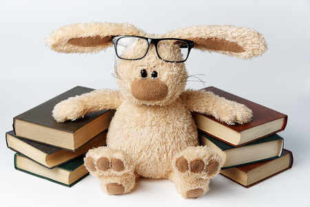 Stuffed Rabbit with Books