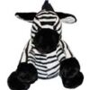 Baby Zebra