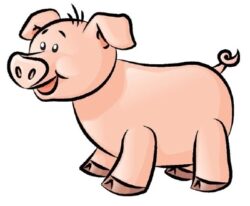 Pig Sound Box