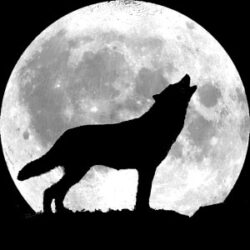Wolf Howling Sound Box