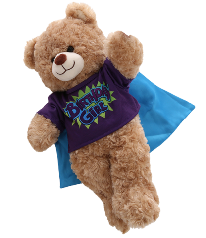Birthday Girl T-Shirt for Stuffed Animals