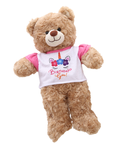 Pink Birthday Girl T-shirt for Stuffed Animals