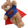 Birthday Boy T-Shirt for Stuffed Animals