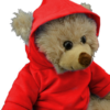 16" Red Hoodie - Image 2