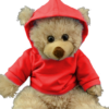 16" Red Hoodie
