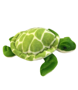 Baby Shelldon Sea Turtle