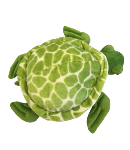 16" Shelldon Sea Turtle - Image 2