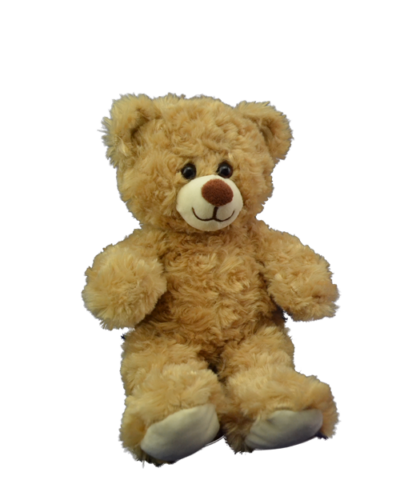 8" Thomas Twisty Bear - Image 4
