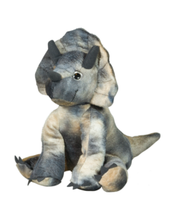 Baby Triceratops