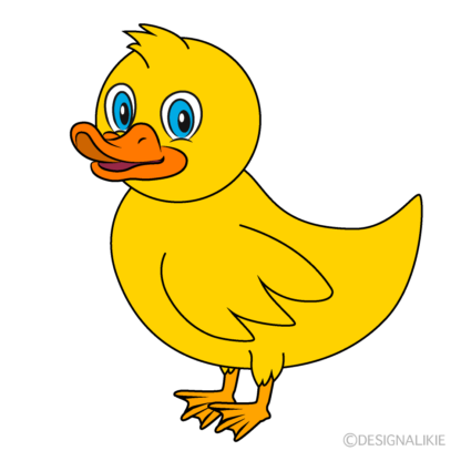 Duck Quacking Sound