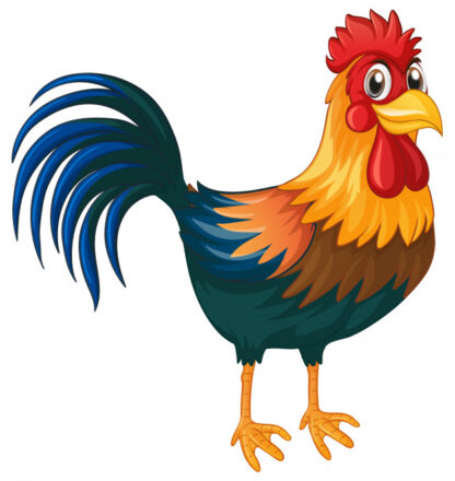 Rooster Sound