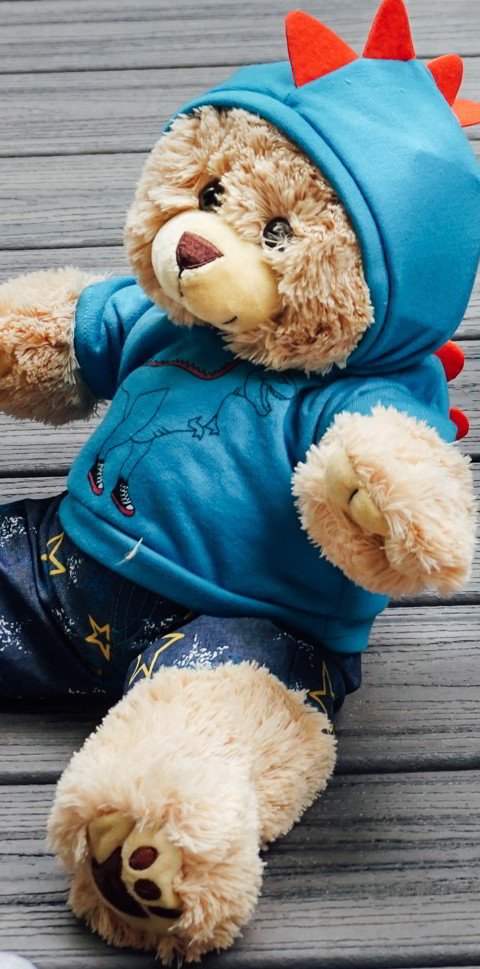 Stuff a bear fundraiser on sale