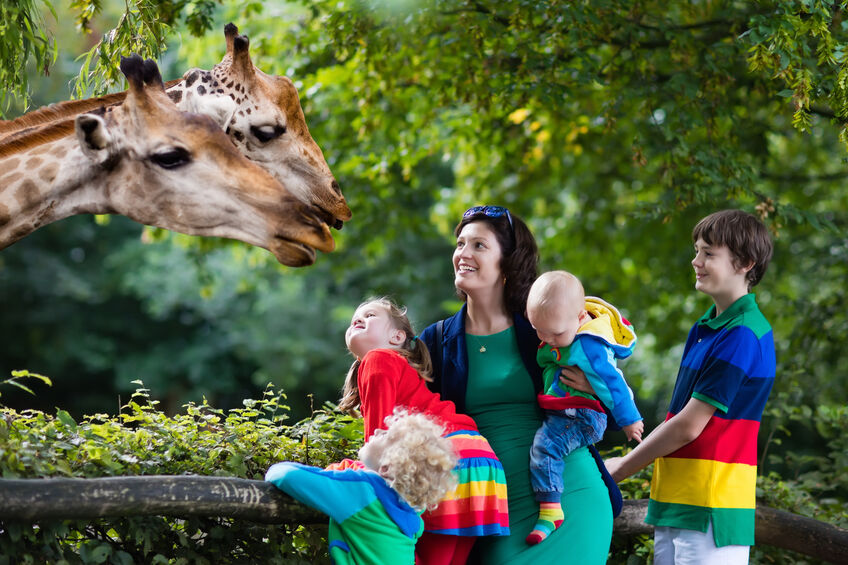 Mother and kids feeding giraffe at the zoo