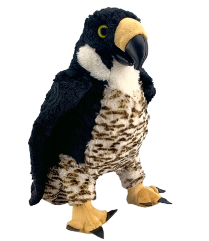 16" Freddie the Falcon