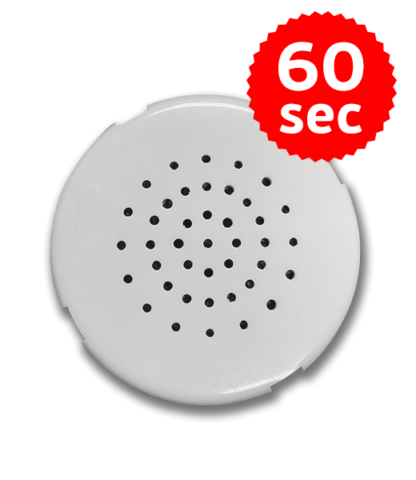 60 Second Twist Top Record