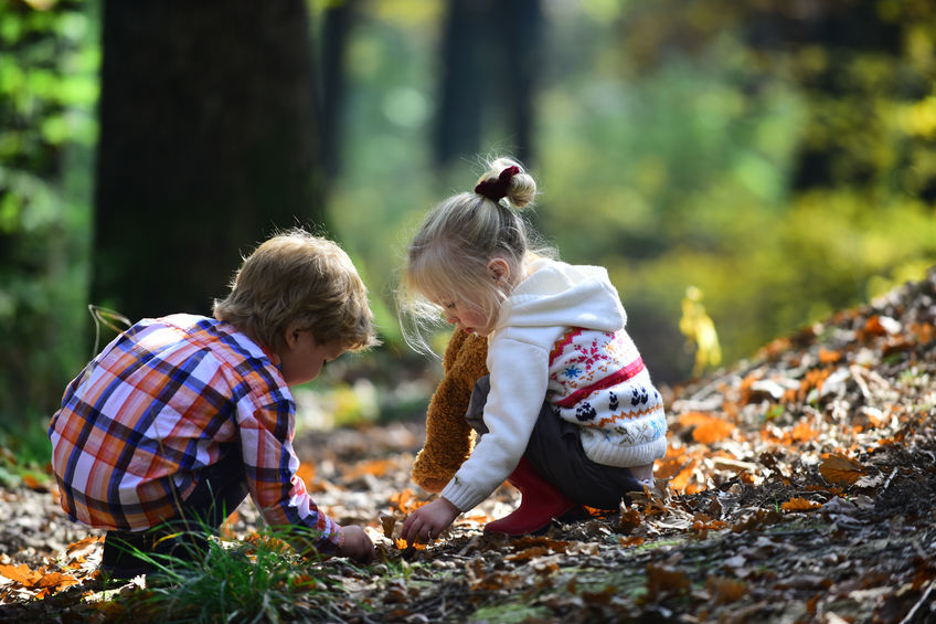 Little boy and girl friends have fun on fresh air. Children pick acorns from oak trees. Brother and sister camping in autumn forest. Childhood and child friendship. Kids activity and active rest.