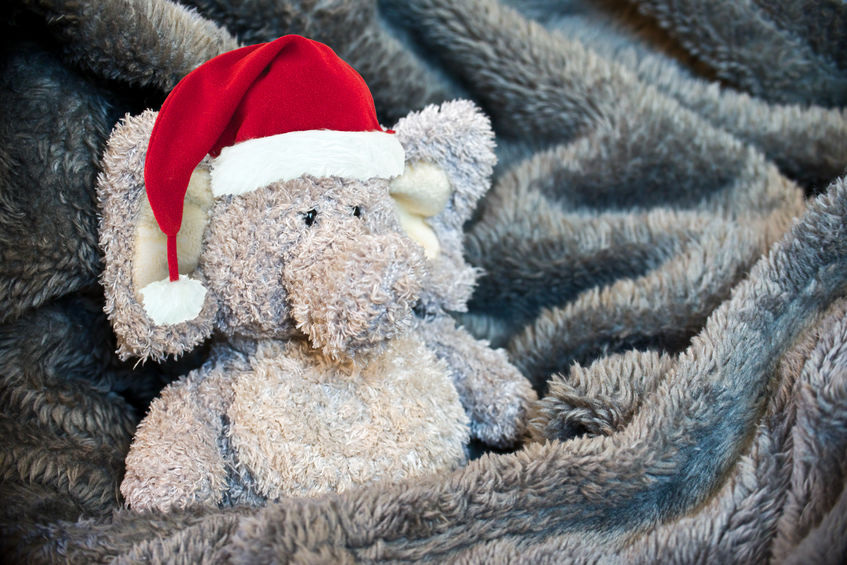Stuffed fluffy animal with a Santa hat in a soft blanket
