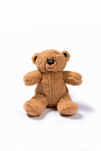 10" Brown Bear - Kit