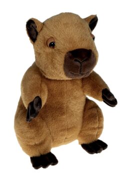 16" Capybara